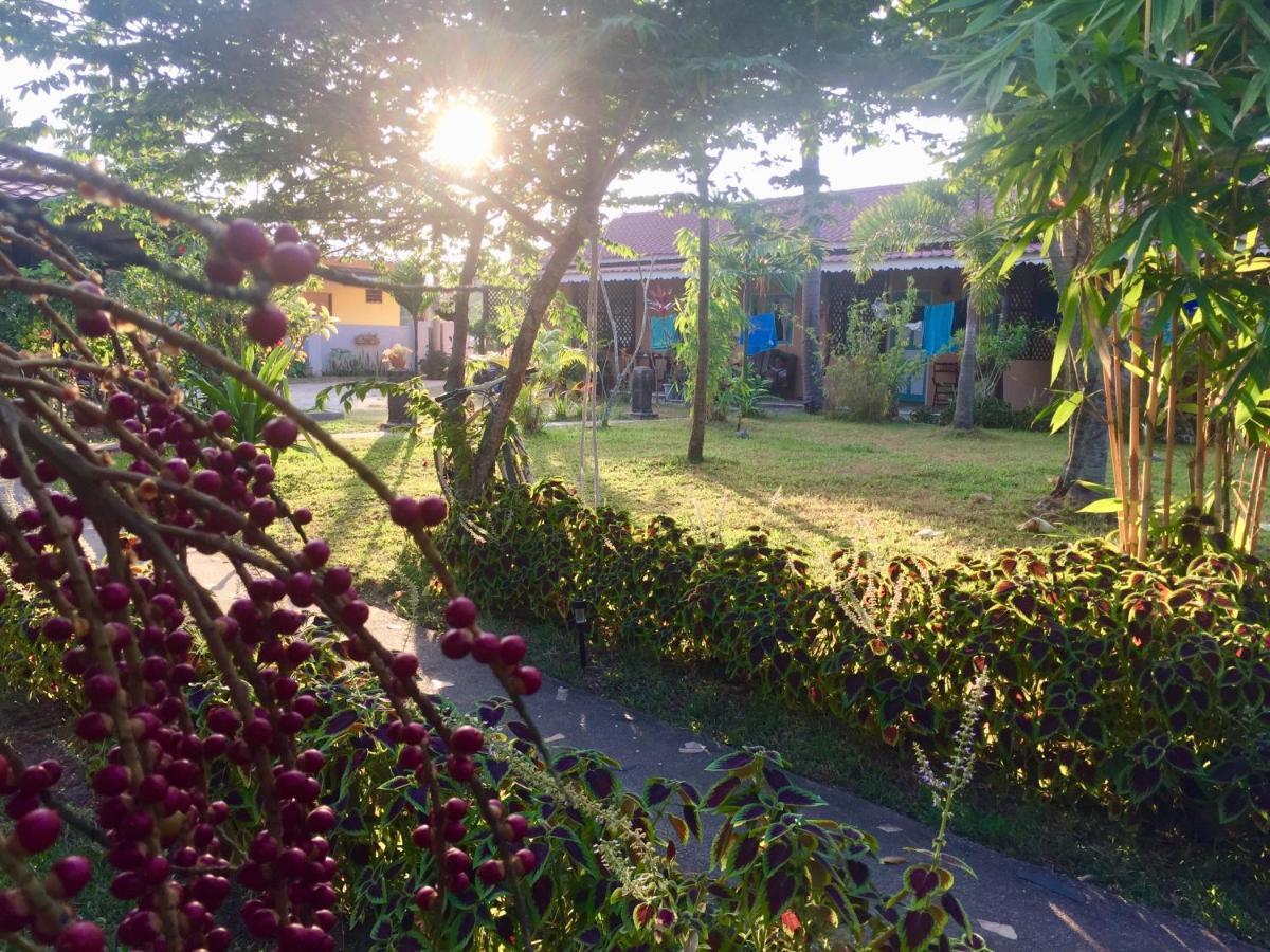 Soluna Guest House Pantai Cenang  Eksteriør billede